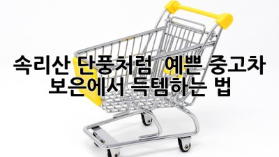 속리산 단풍처럼 🍁 예쁜 중고차, 보은에서 득템하는 법!