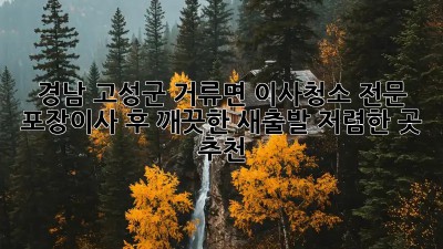 경남 고성군 거류면 이사청소 전문: 포장이사 후 깨끗한 새출발! 저렴한 곳 추천! ✨